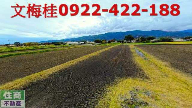 宜蘭三星農地-7