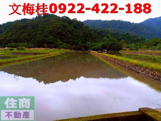 員山農地-4
