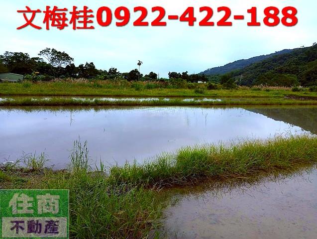員山農地-6