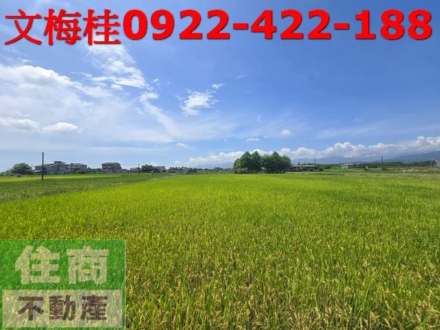 員山農地-1