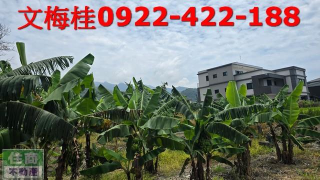頭城農地-8