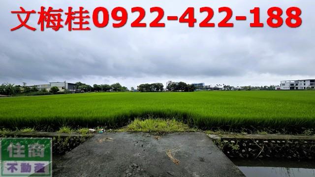 礁溪農地-2