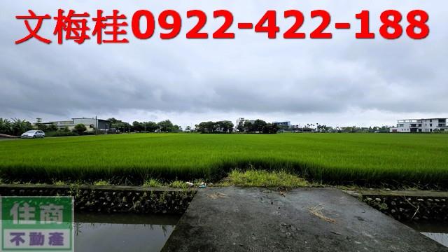 礁溪農地-5