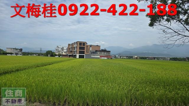 壯圍農地-2