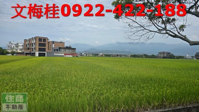 壯圍農地-3