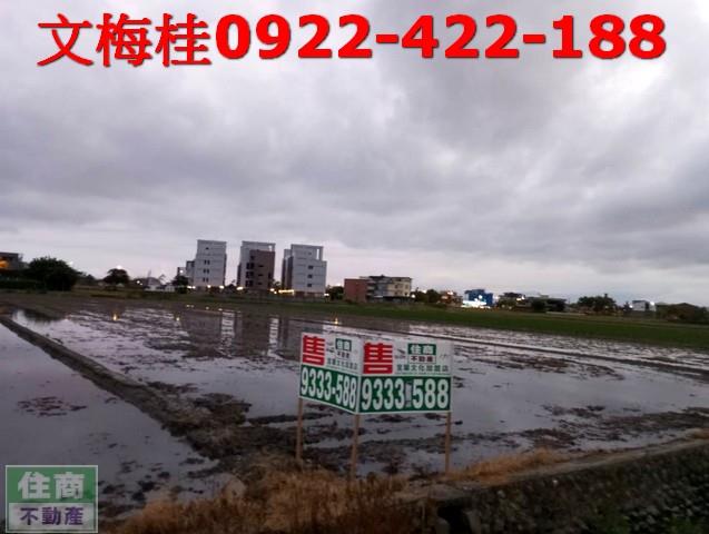 宜蘭農地-1