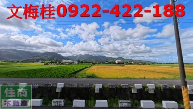 宜蘭農地-4