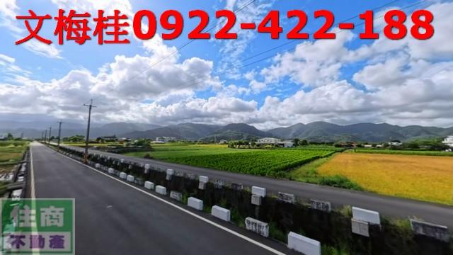 宜蘭農地-5