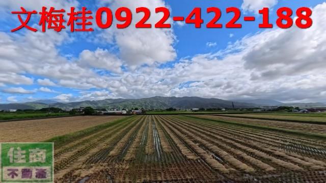 宜蘭農地-7