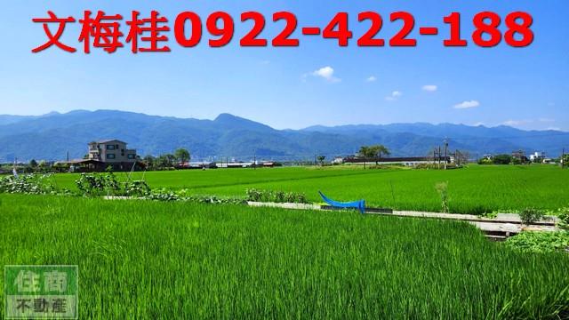 宜蘭農地-1
