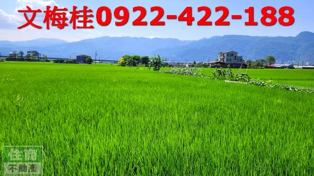 宜蘭農地-2