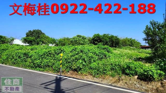 宜蘭農地-3