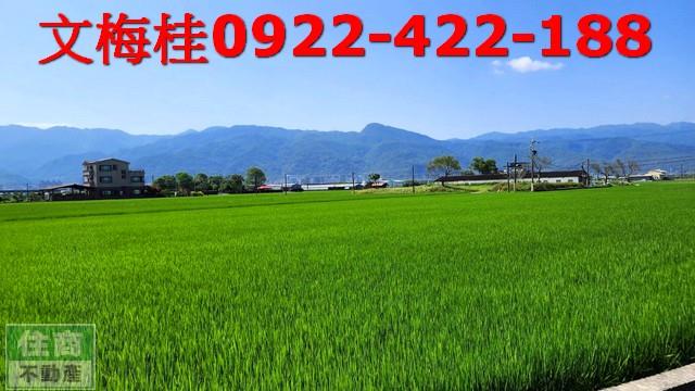 宜蘭農地-6
