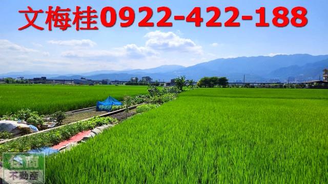宜蘭農地-7
