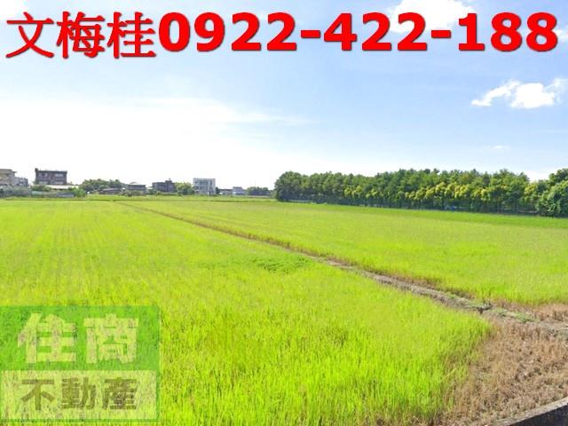 宜蘭農地-2