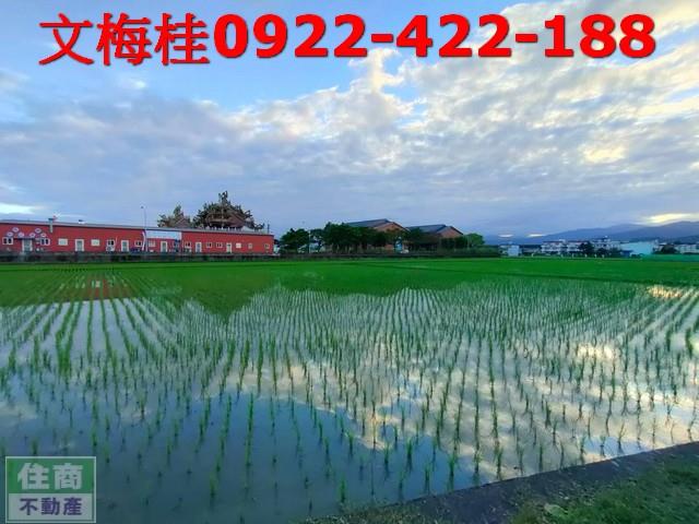 宜蘭農地-10