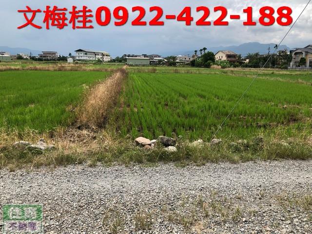 宜蘭農地-1