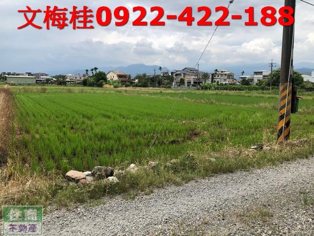 宜蘭農地-5