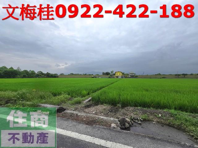 宜蘭農地-3