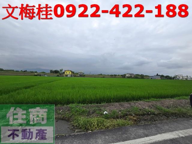 宜蘭農地-5