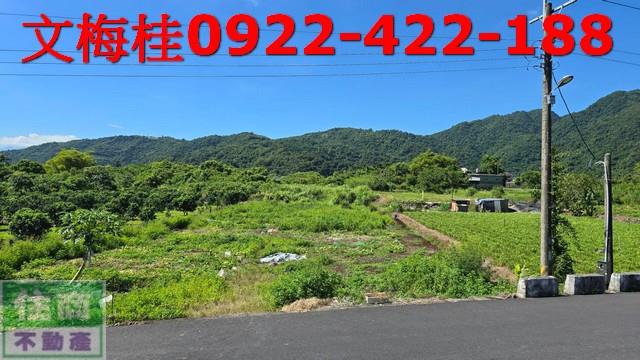 宜蘭員山農地-2