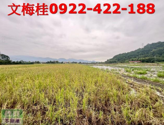 宜蘭三星農地-2