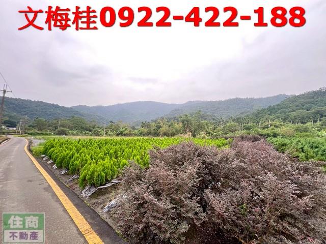 宜蘭三星農地-4
