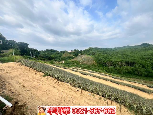 關廟農地-6