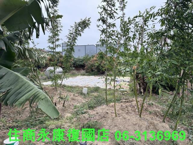 仁德農地-1