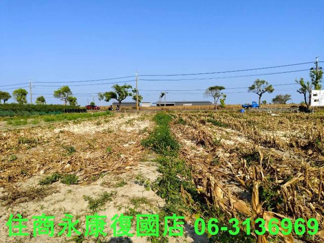 佳里農地-10