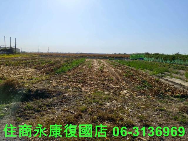 佳里農地-12