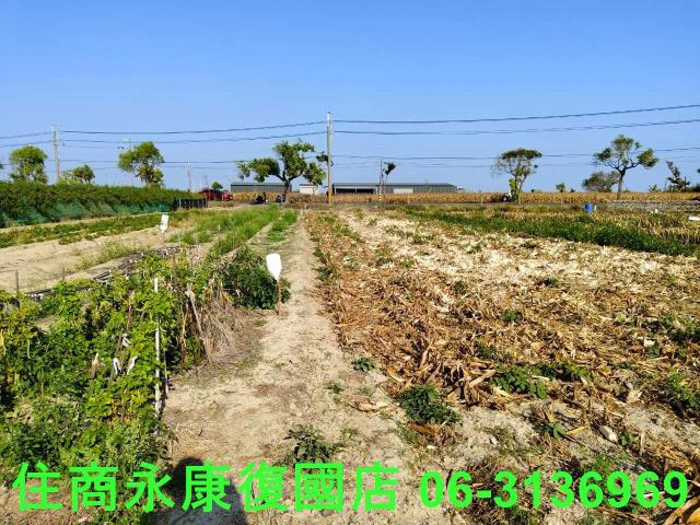 佳里農地-7