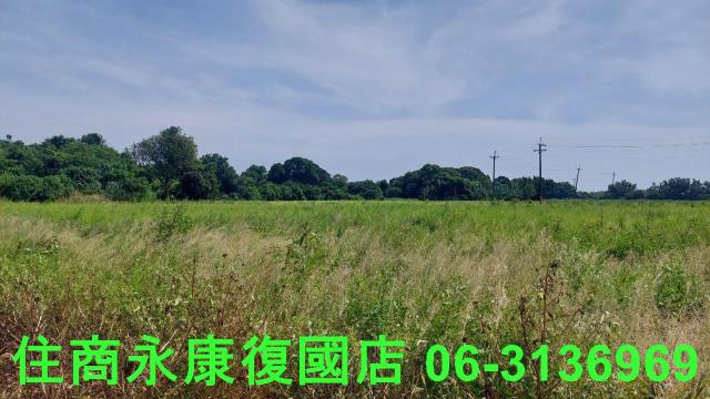 官田農地-1