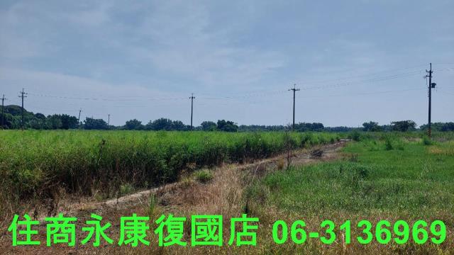 官田農地-5