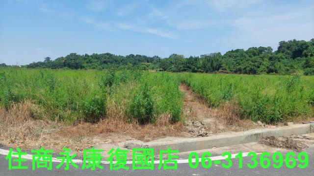 官田農地-12