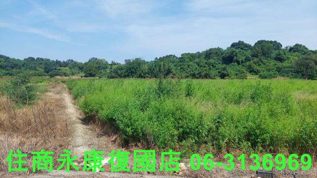 官田農地-3