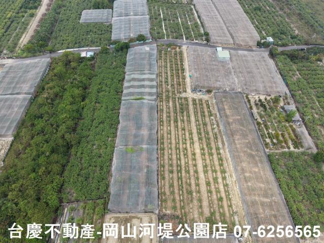 燕巢農地-3