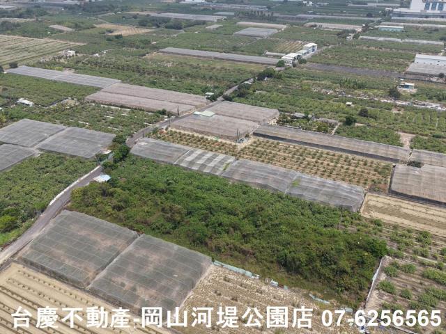 燕巢農地-11