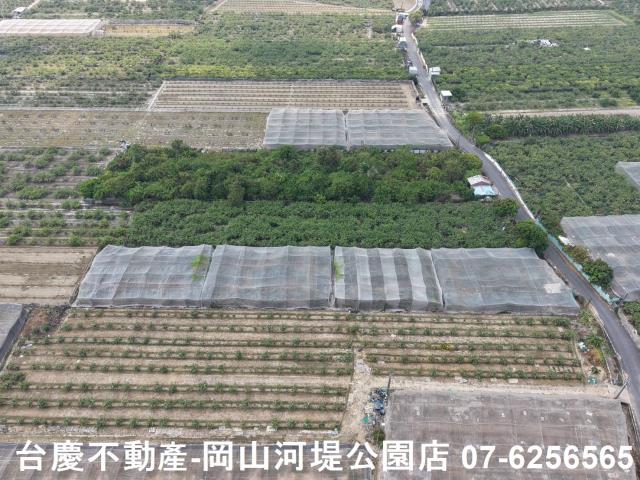 燕巢農地-5
