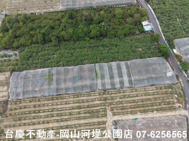 燕巢農地-4
