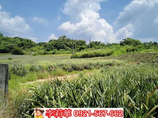高雄大樹農地-7