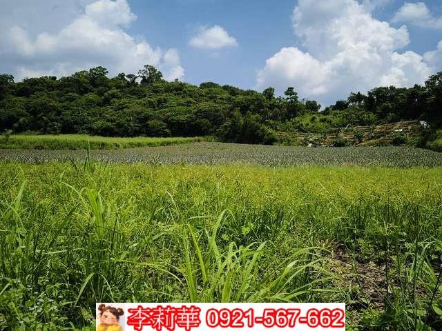 高雄大樹農地-9