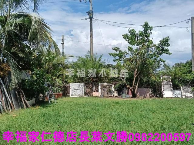 台南仁德農地-12