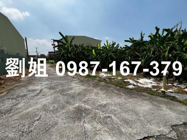 仁武農地-1