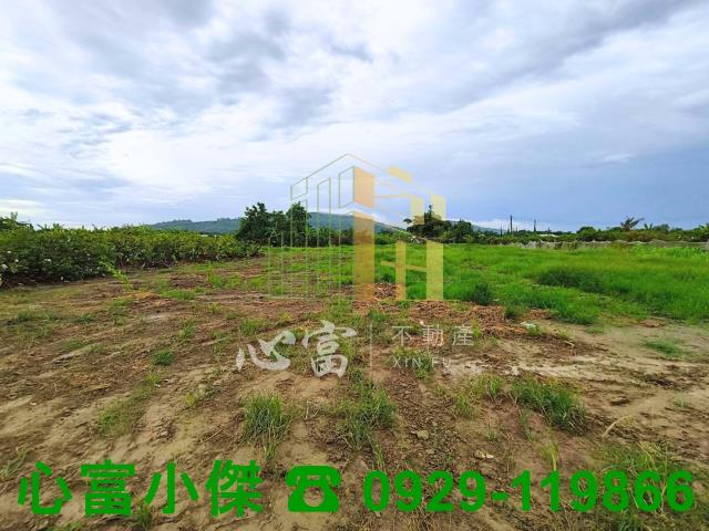 燕巢農地-1