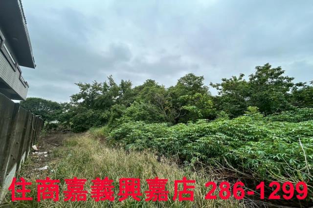 嘉義建地-5