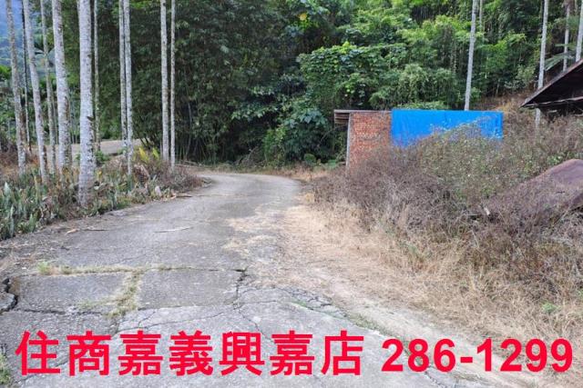 嘉義農地-12