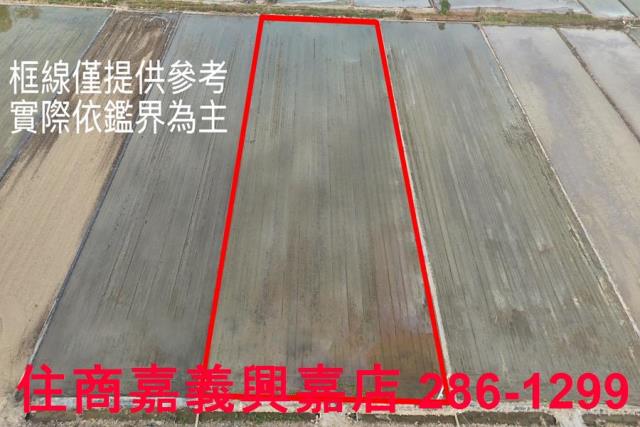 嘉義農地-10