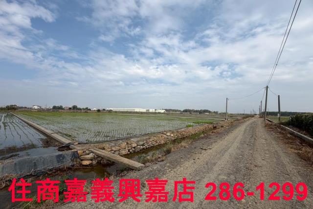 嘉義農地-12