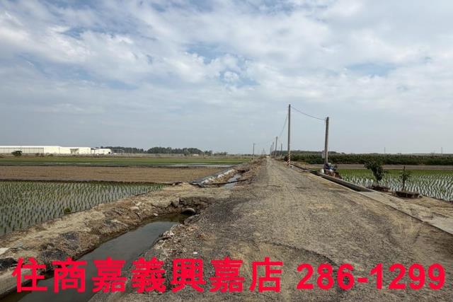 嘉義農地-14